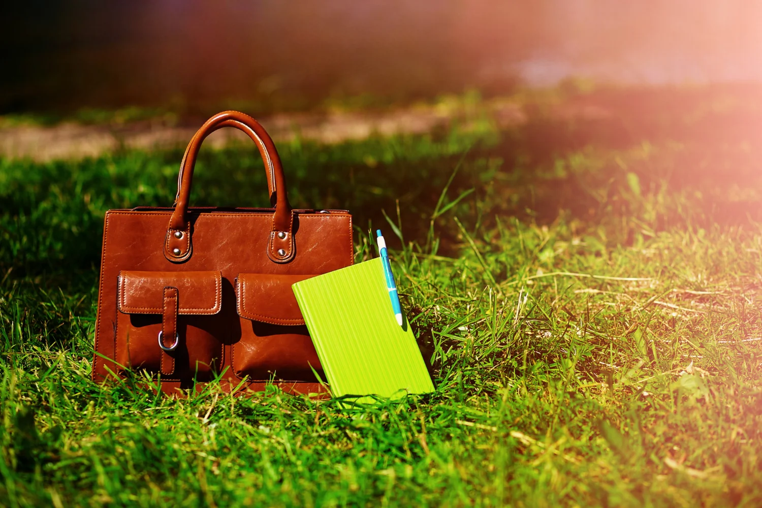 Totevia Classic Leather Bag